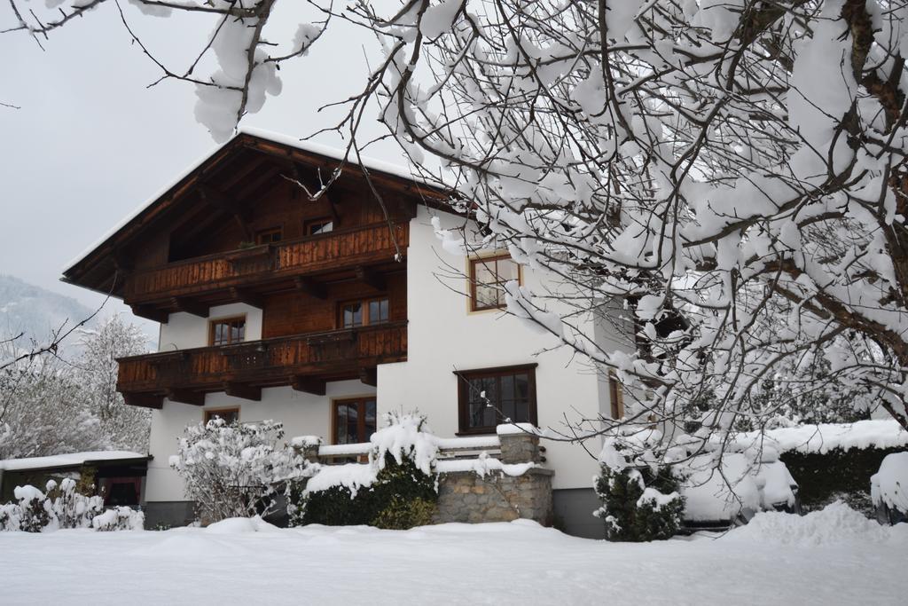 Apartments Emma, Zillertal, Tirol カルテンバッハ エクステリア 写真